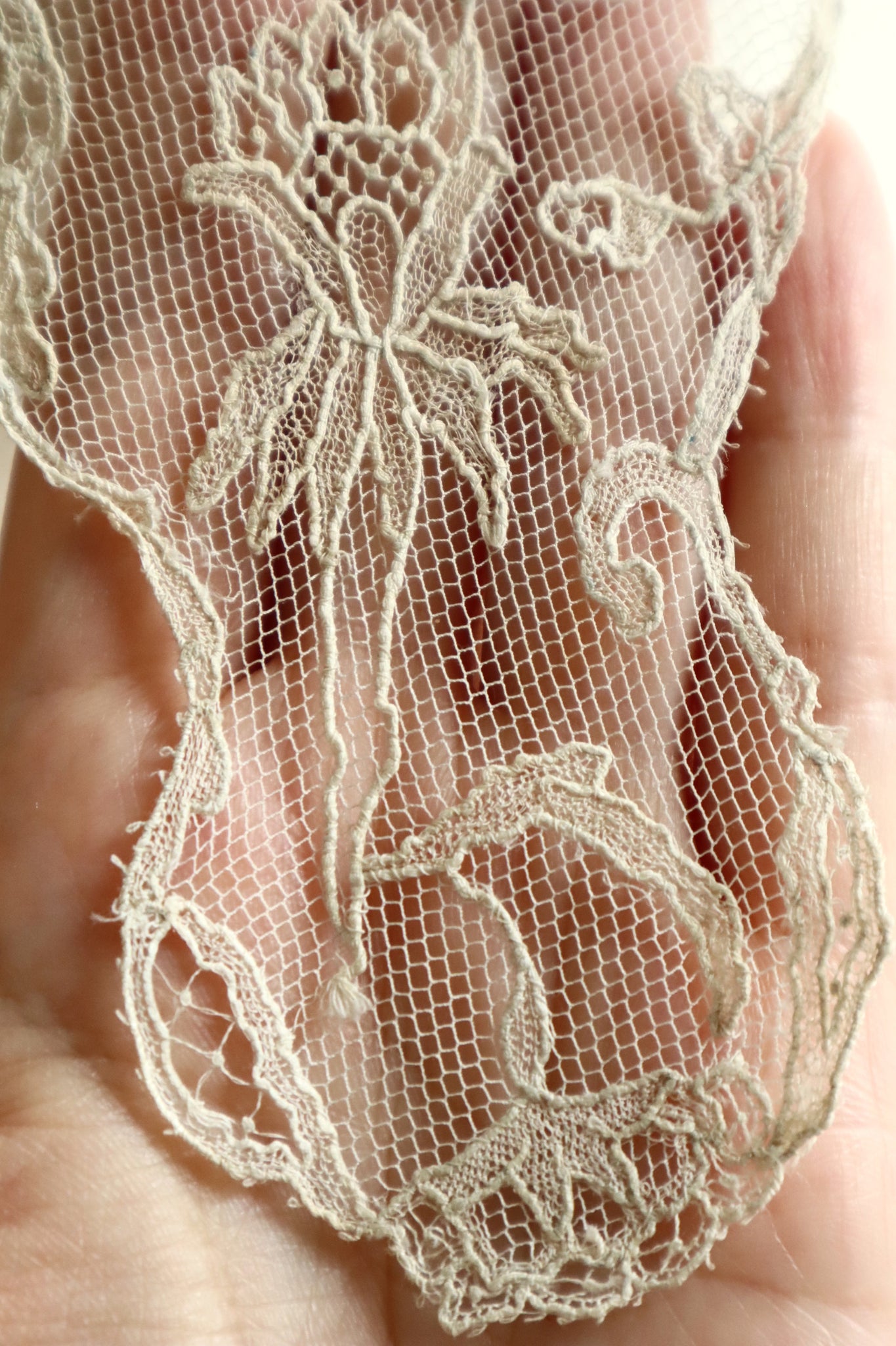 Early 1900s Edwardian Embroidered Net Lace Capelet