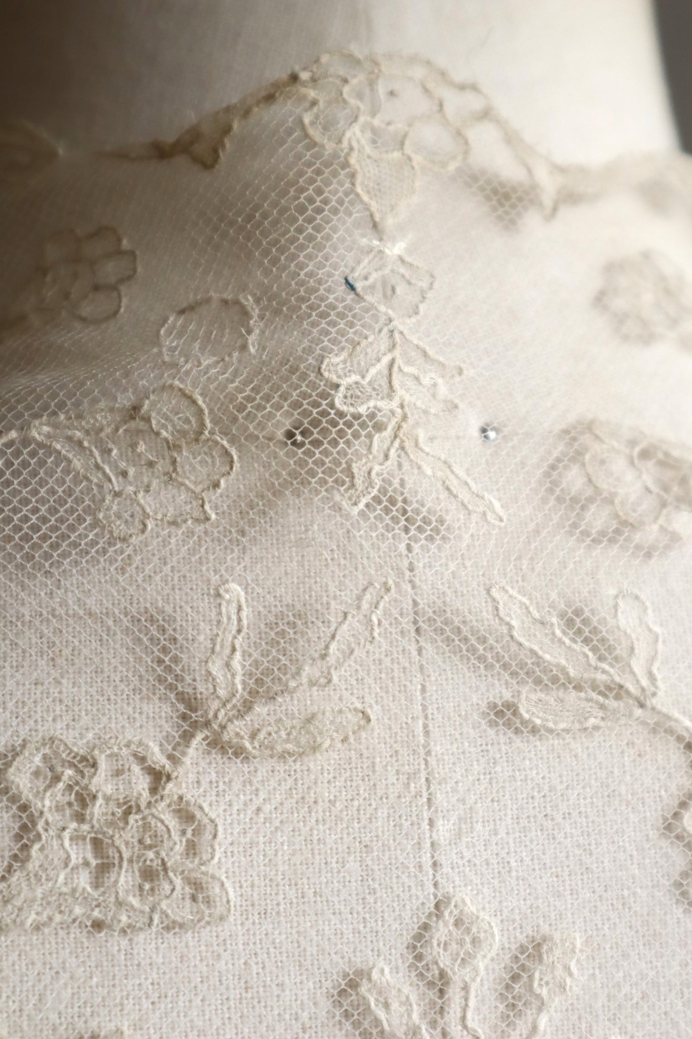 Early 1900s Edwardian Embroidered Net Lace Capelet