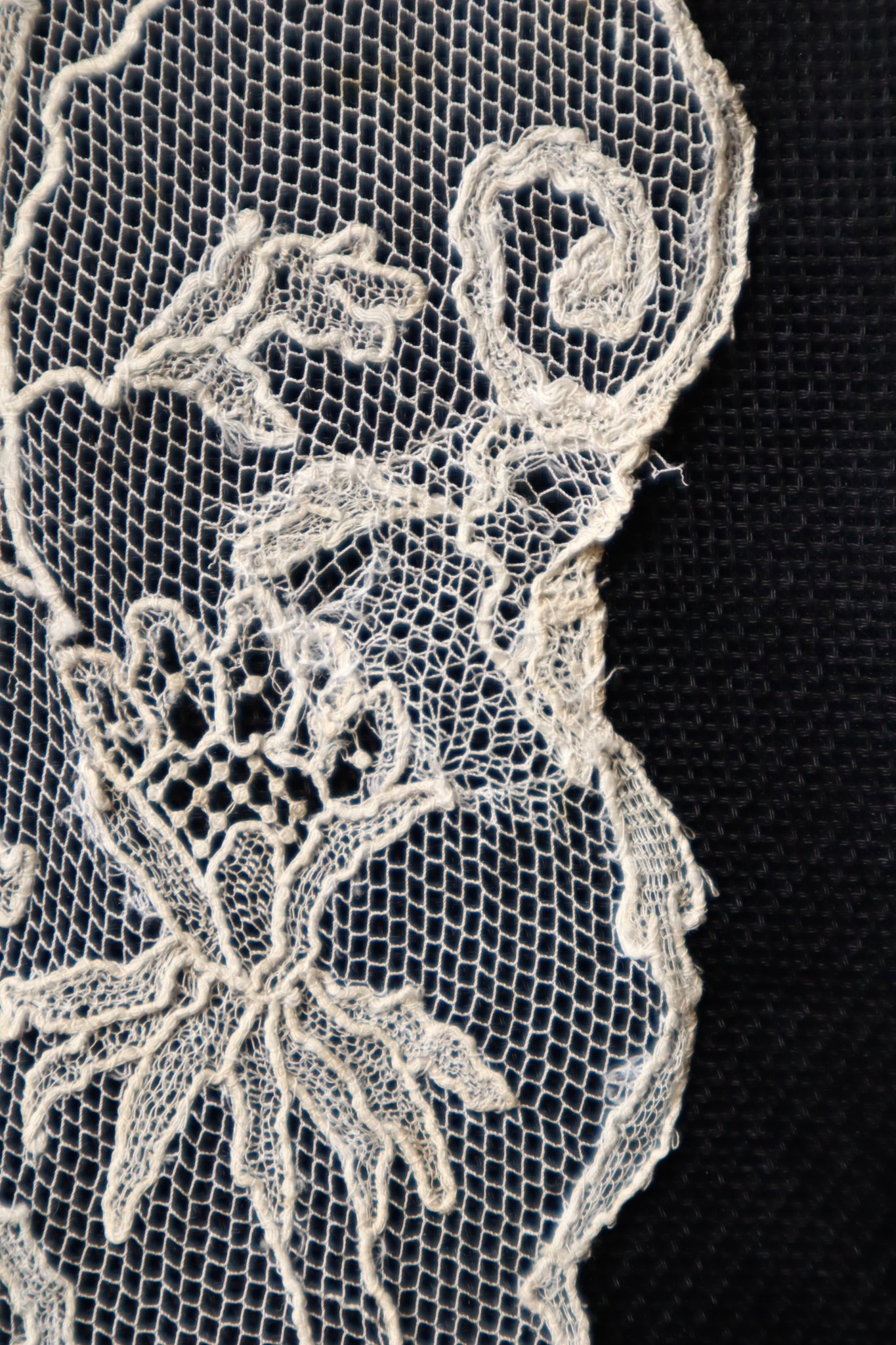 Early 1900s Edwardian Embroidered Net Lace Capelet