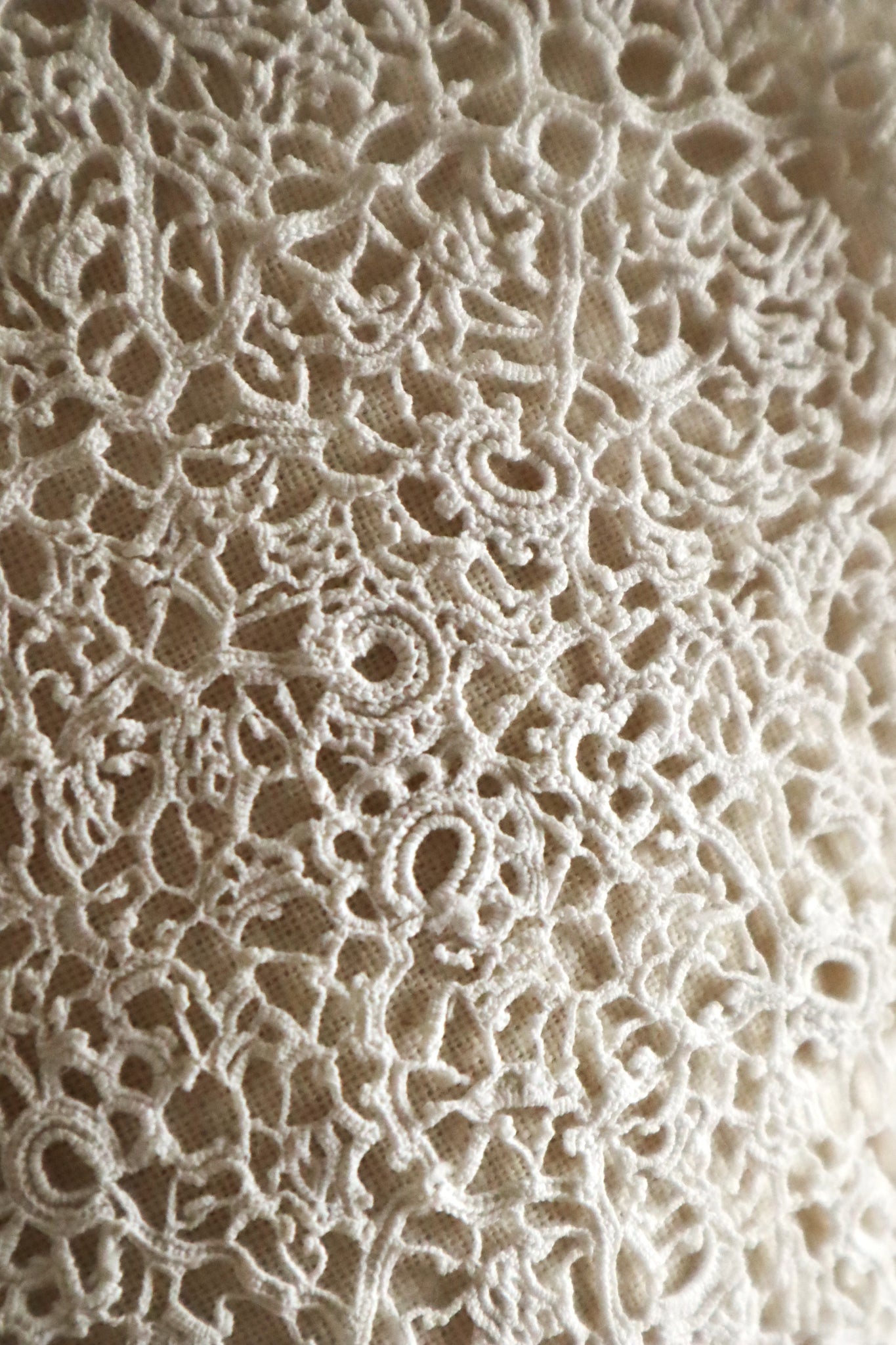 1900s–1910s Irish Crochet Lace Jabot