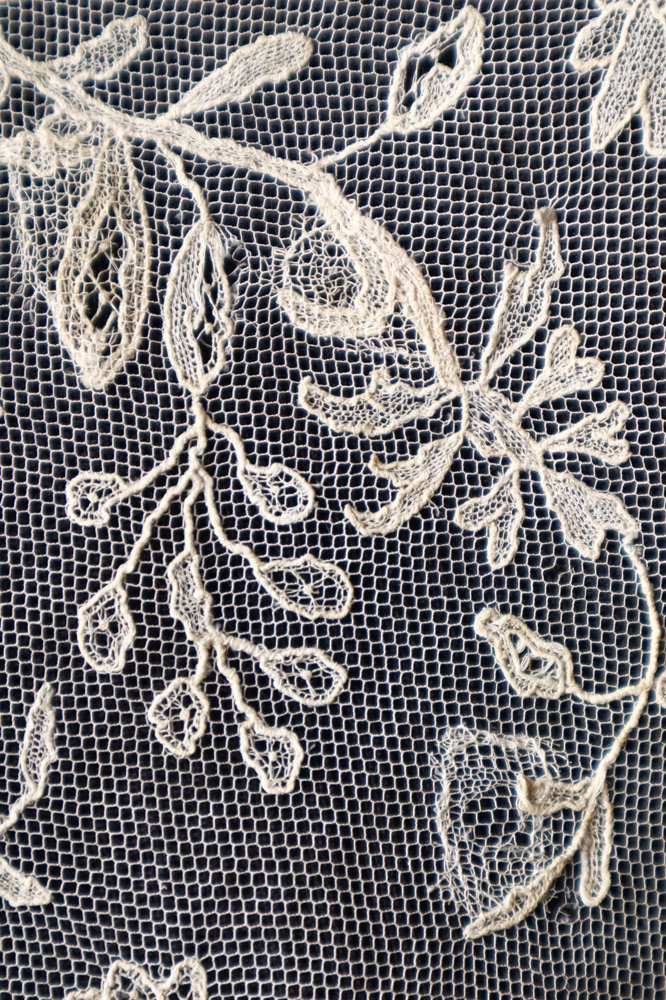 Early 1900s Edwardian Embroidered Net Lace Capelet