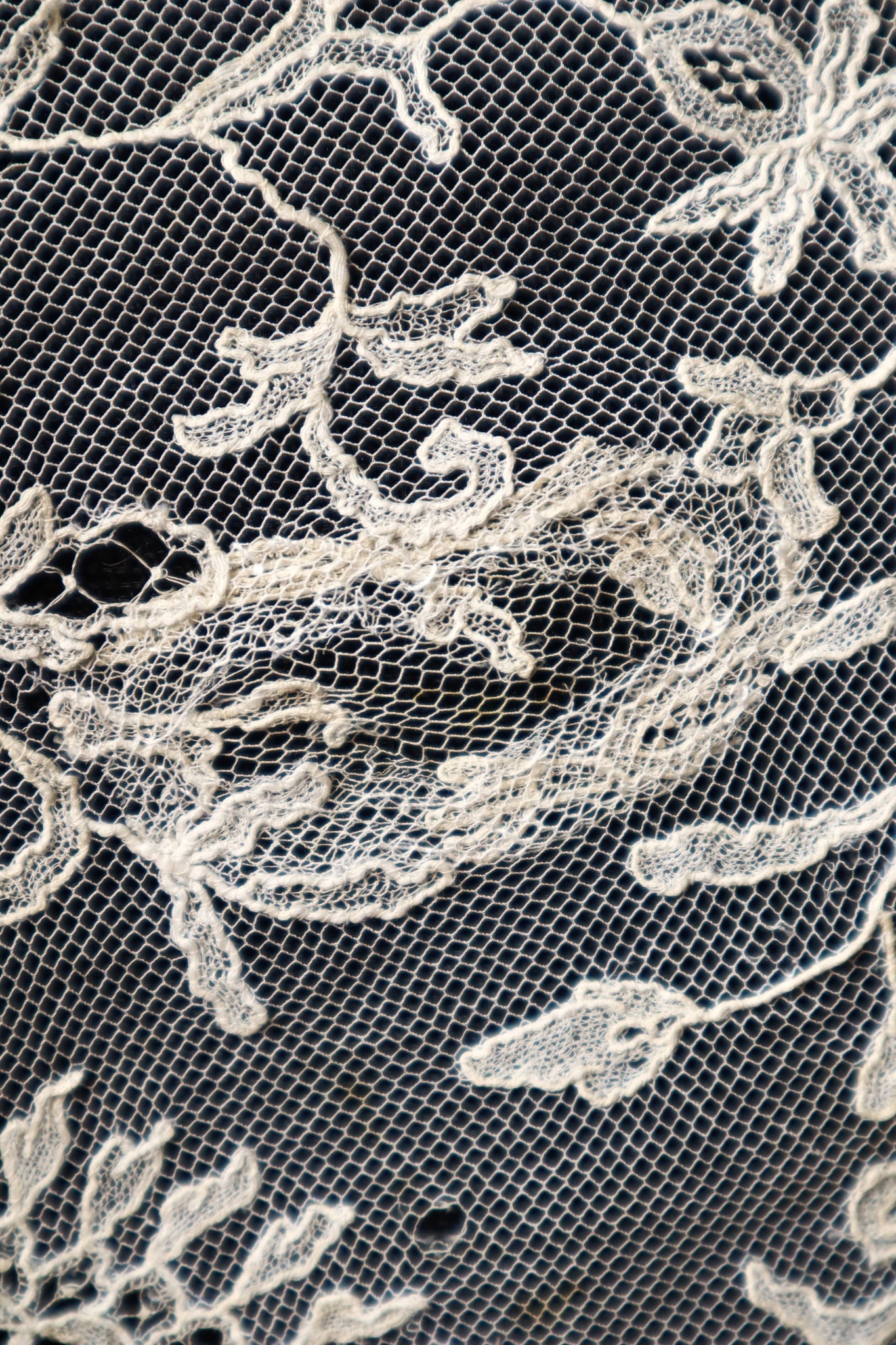 Early 1900s Edwardian Embroidered Net Lace Capelet
