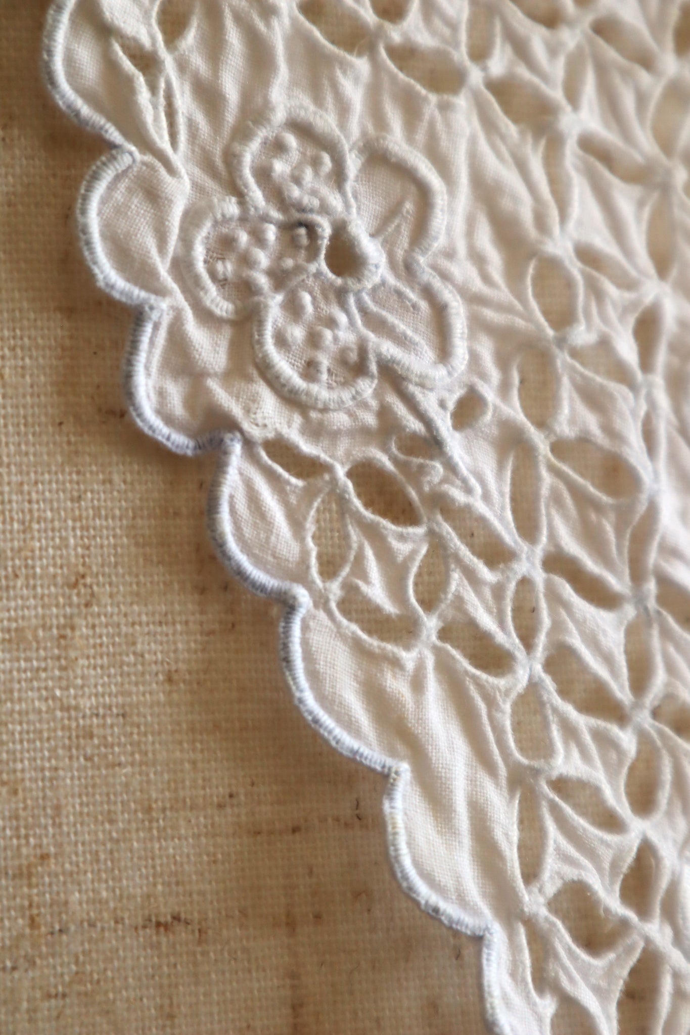 1910s Hand Cutwork Lace Collar