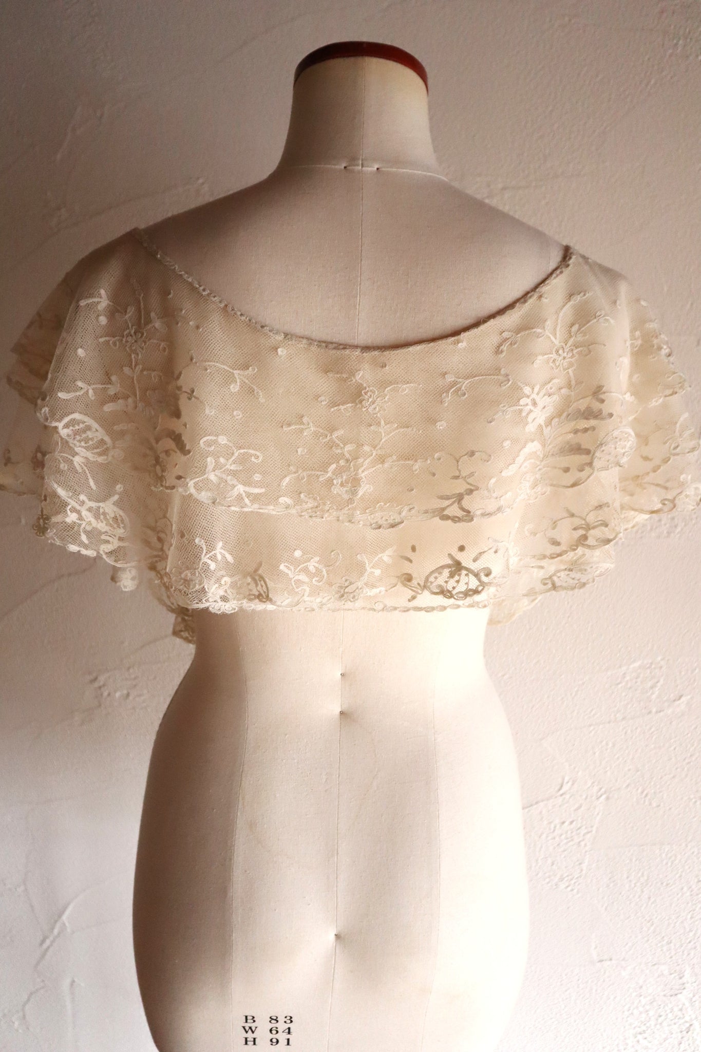 1900s Edwardian English Tambour Lace Yoke
