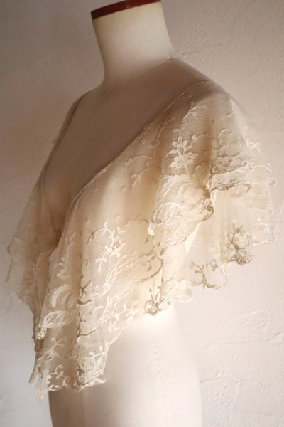 1900s Edwardian English Tambour Lace Yoke
