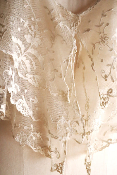 1900s Edwardian English Tambour Lace Yoke