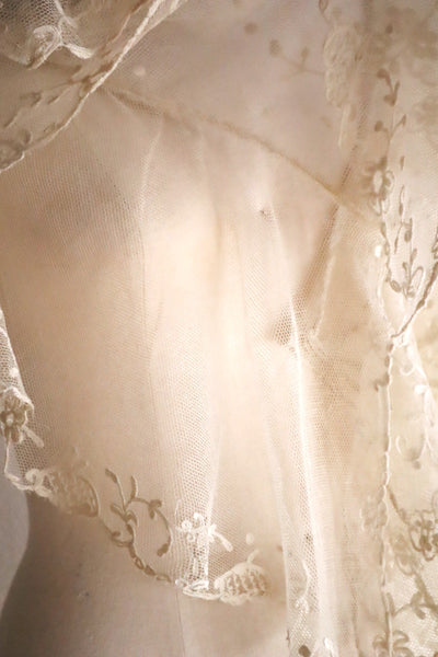 1900s Edwardian English Tambour Lace Yoke
