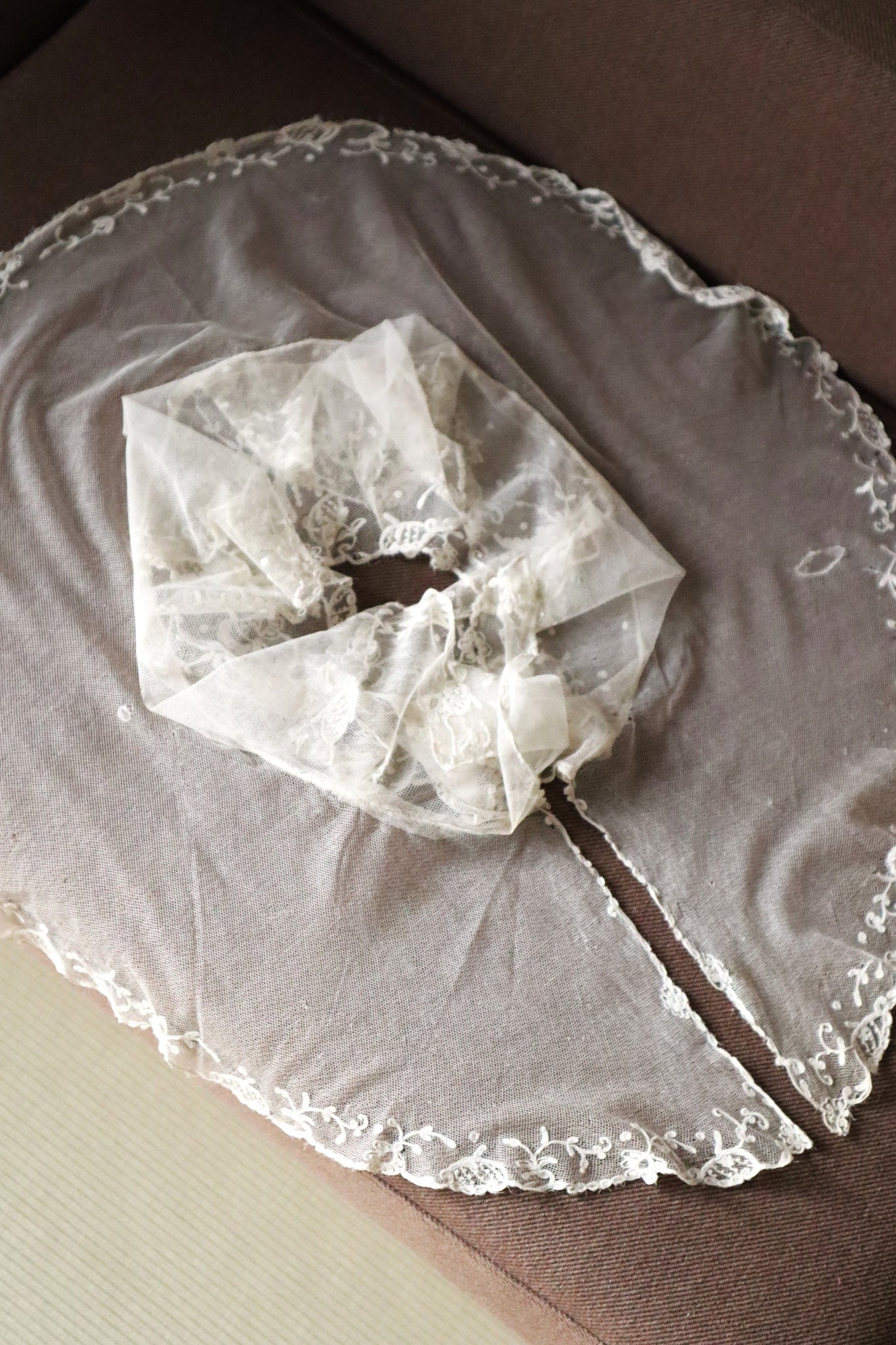 1900s Edwardian English Tambour Lace Yoke