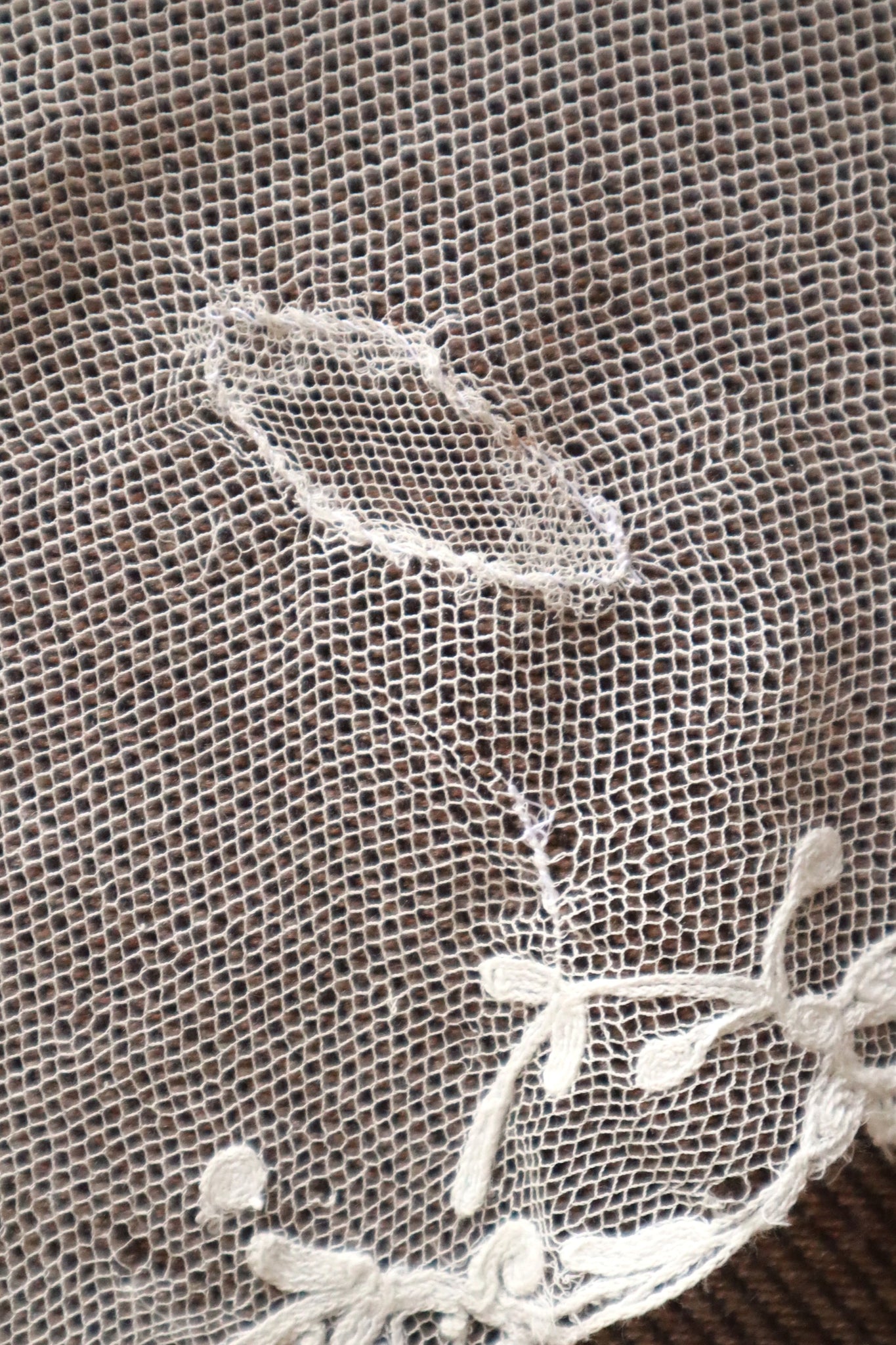 1900s Edwardian English Tambour Lace Yoke
