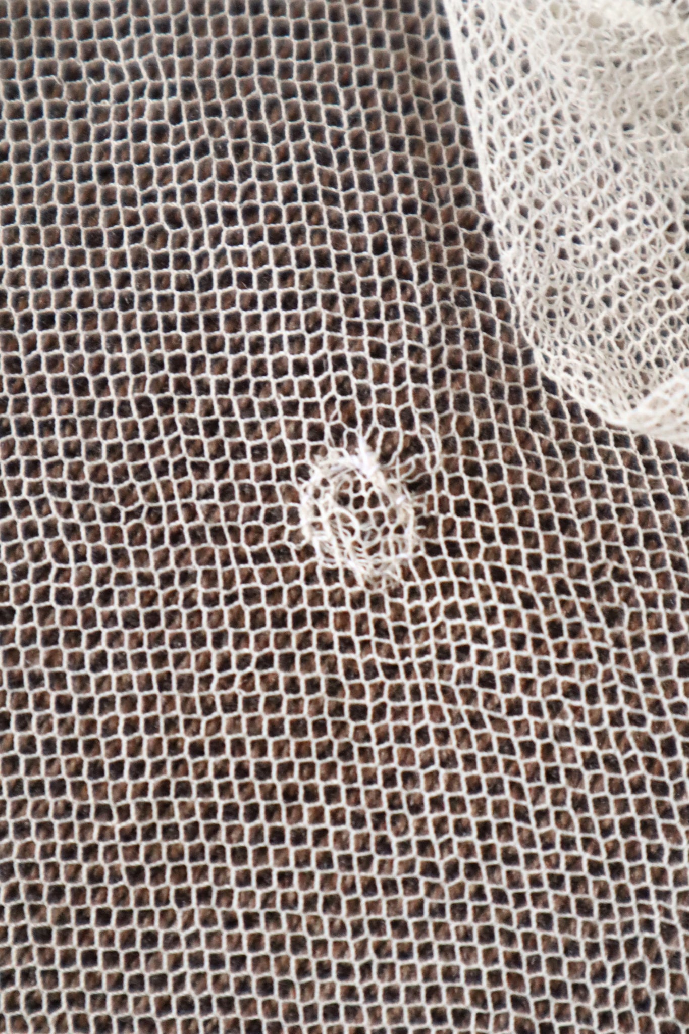1900s Edwardian English Tambour Lace Yoke