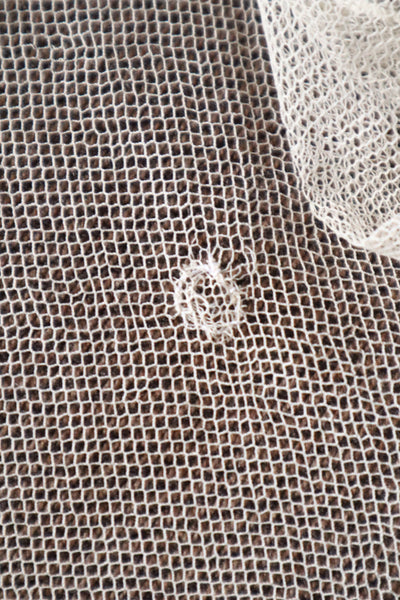 1900s Edwardian English Tambour Lace Yoke