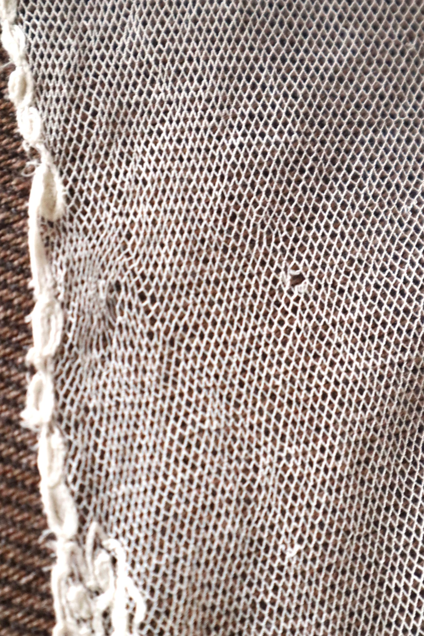 1900s Edwardian English Tambour Lace Yoke