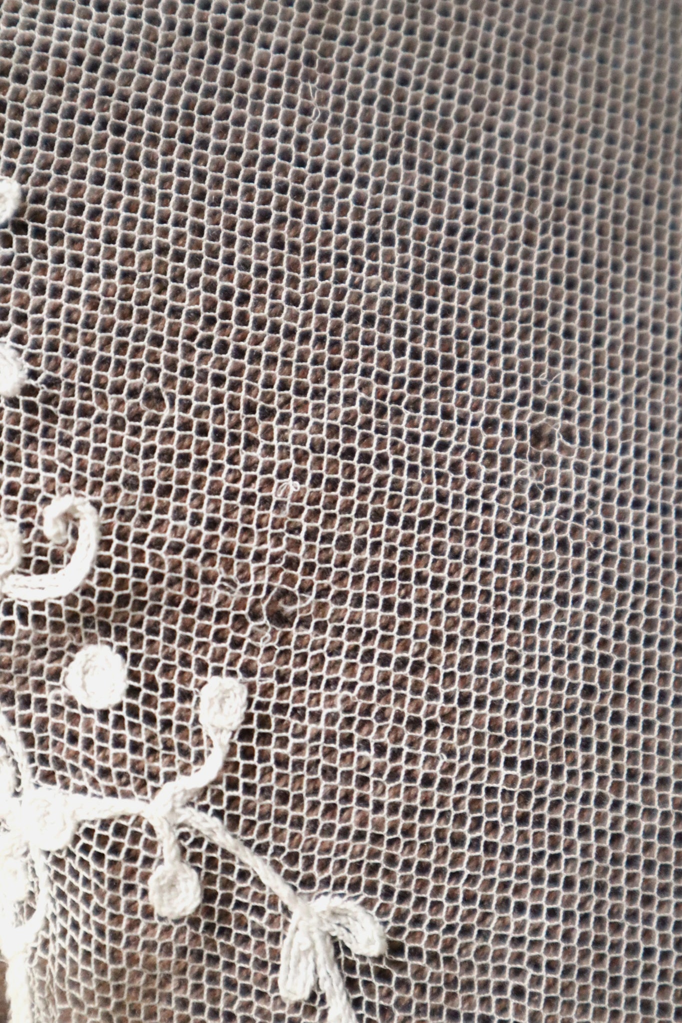 1900s Edwardian English Tambour Lace Yoke