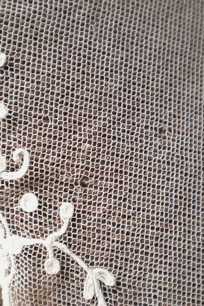 1900s Edwardian English Tambour Lace Yoke