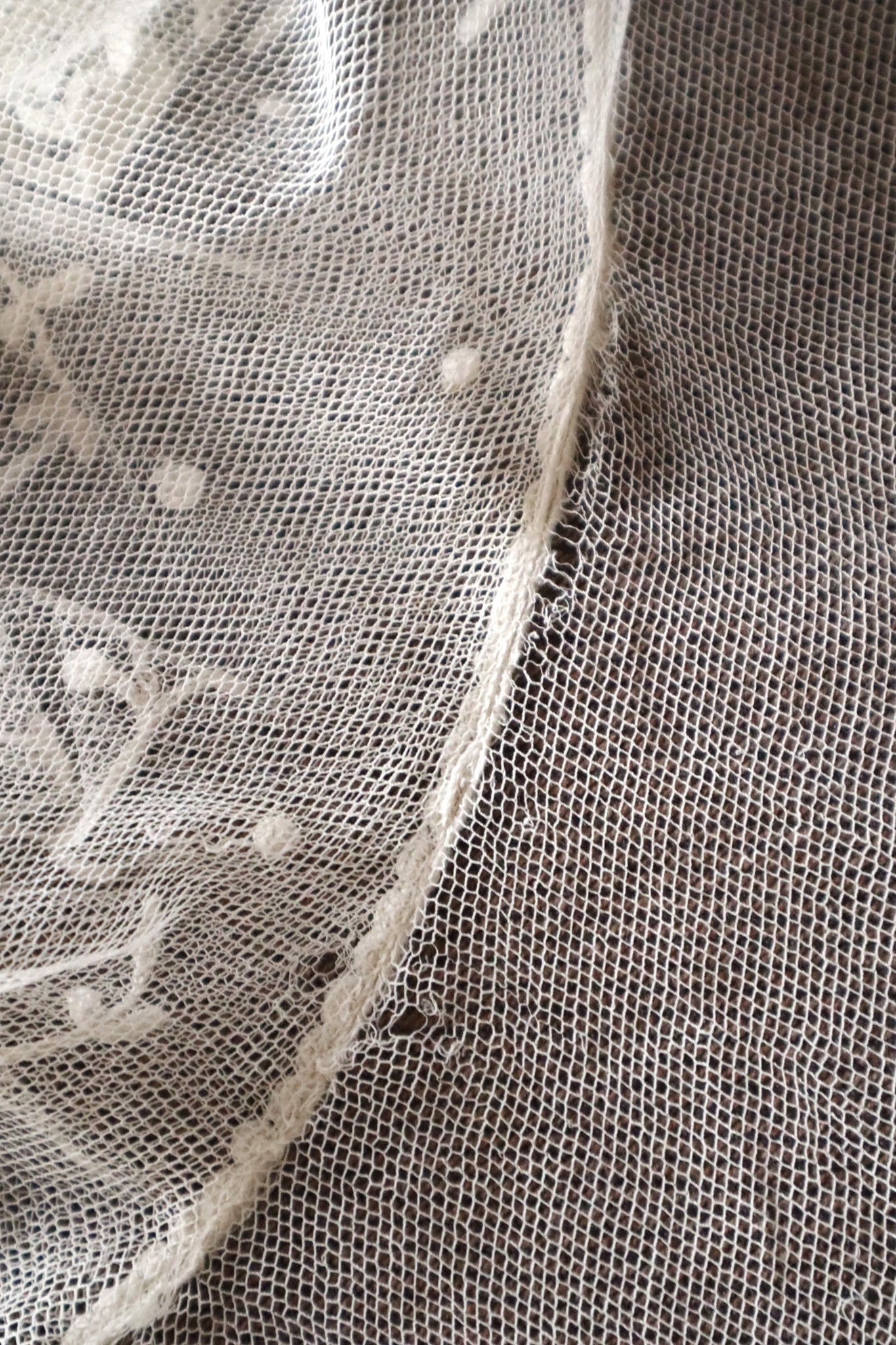 1900s Edwardian English Tambour Lace Yoke