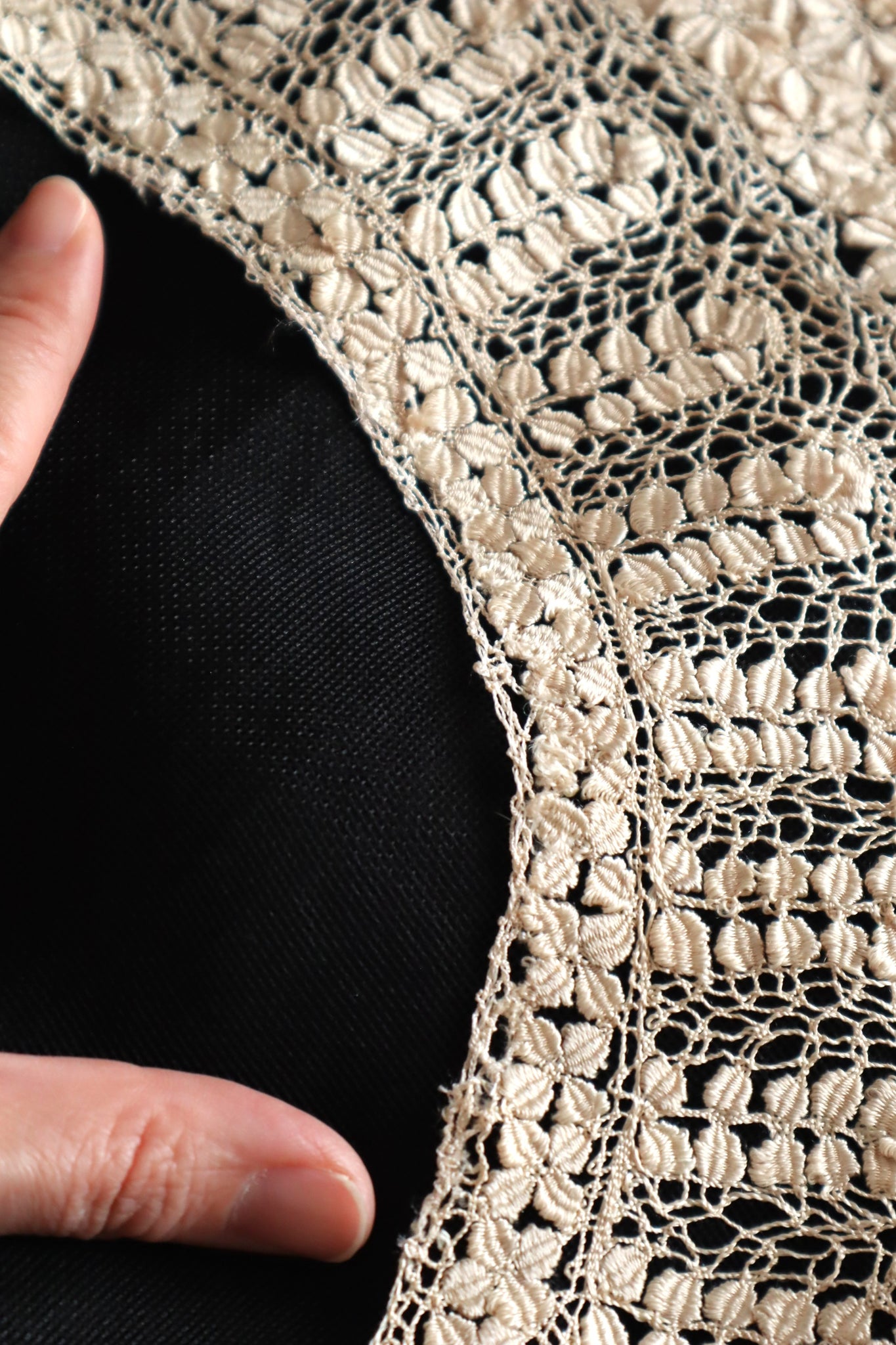 19th Century Silk Maltese Lace Collar