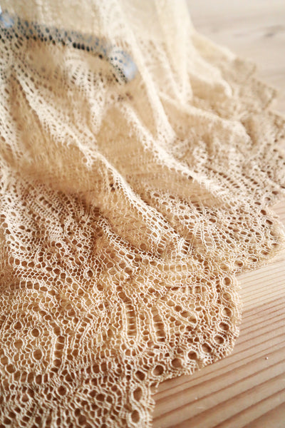 1910s–1920s French Lace Overlay Dress