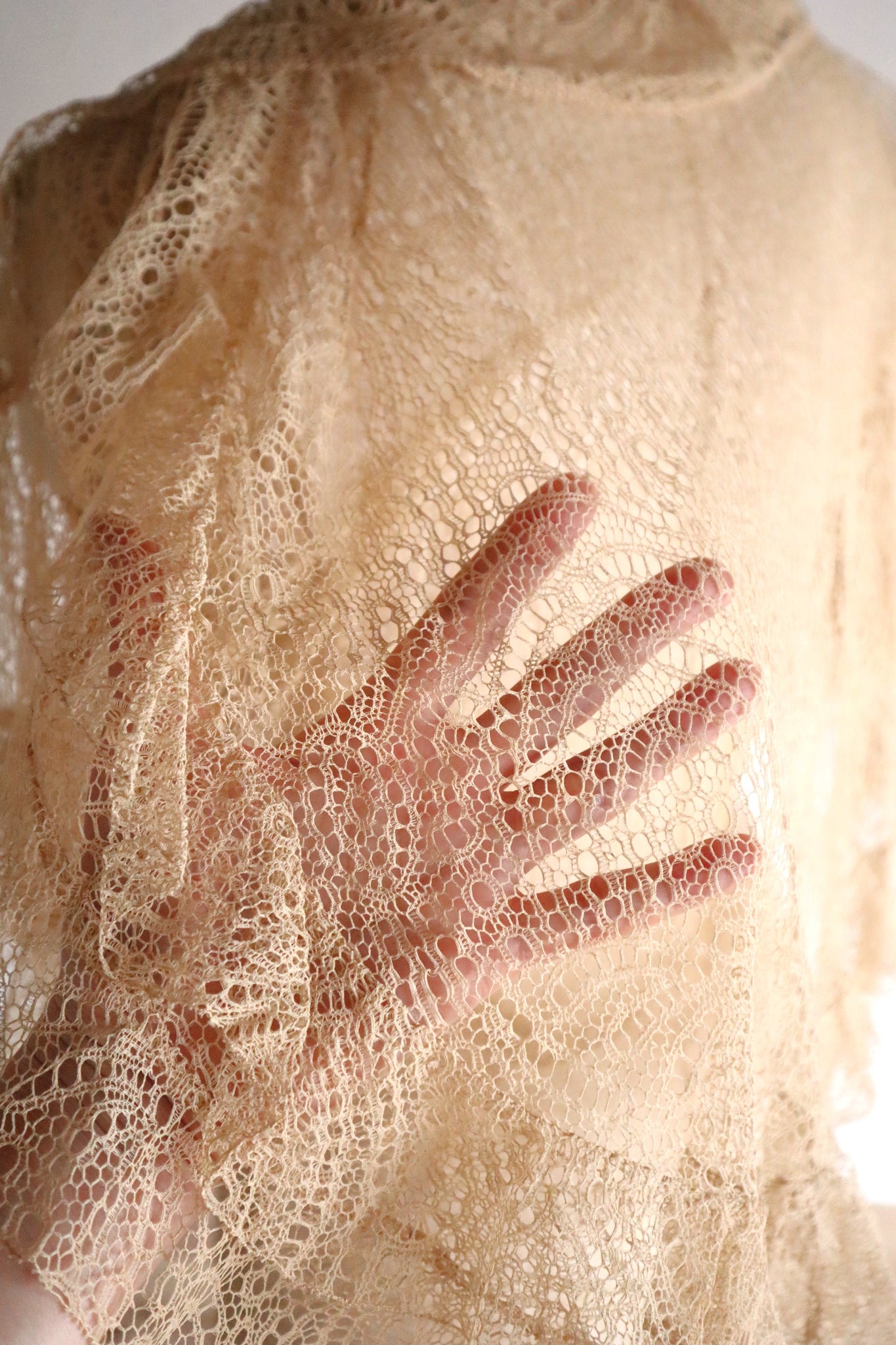 1910s–1920s French Lace Overlay Dress