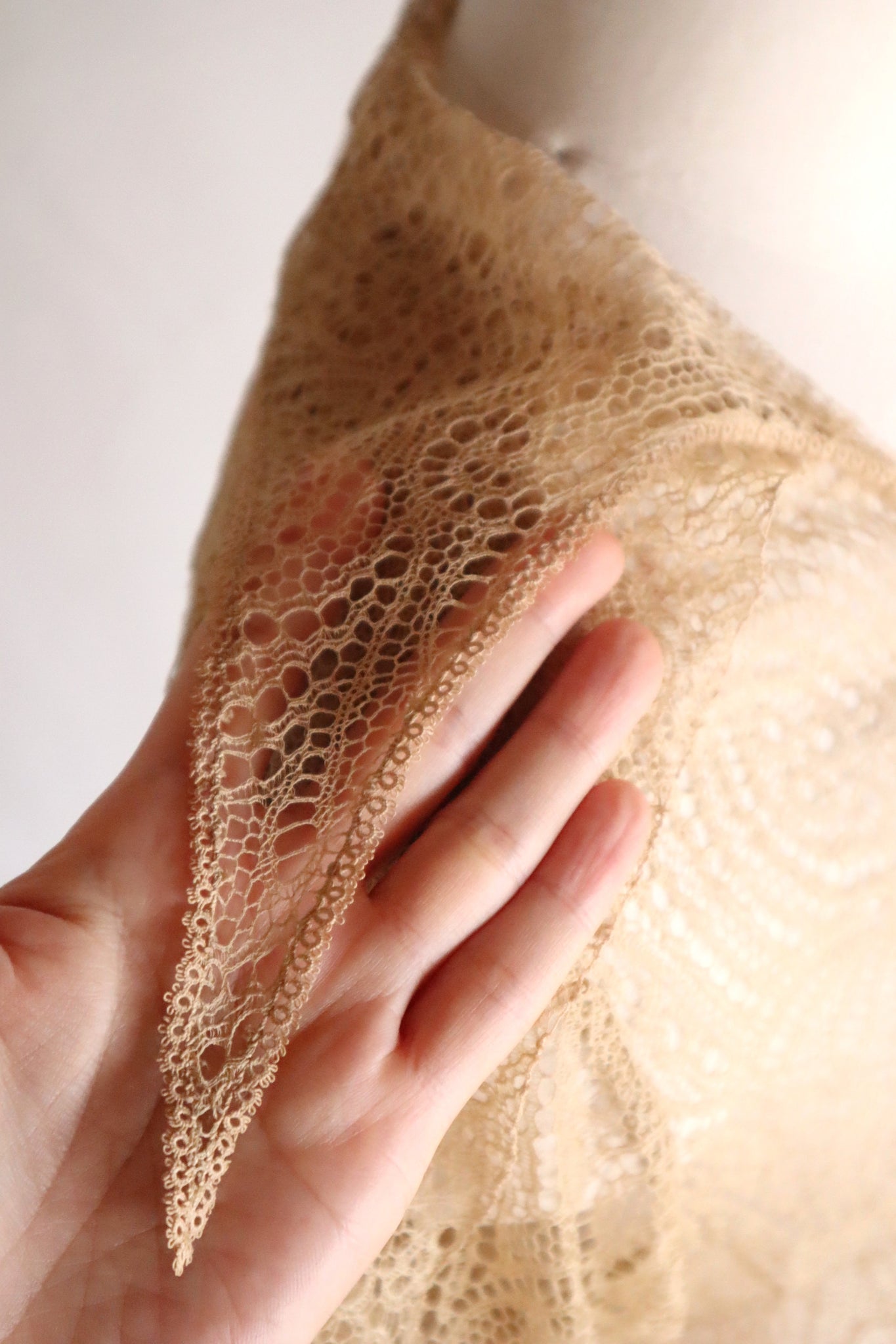 1910s–1920s French Lace Overlay Dress