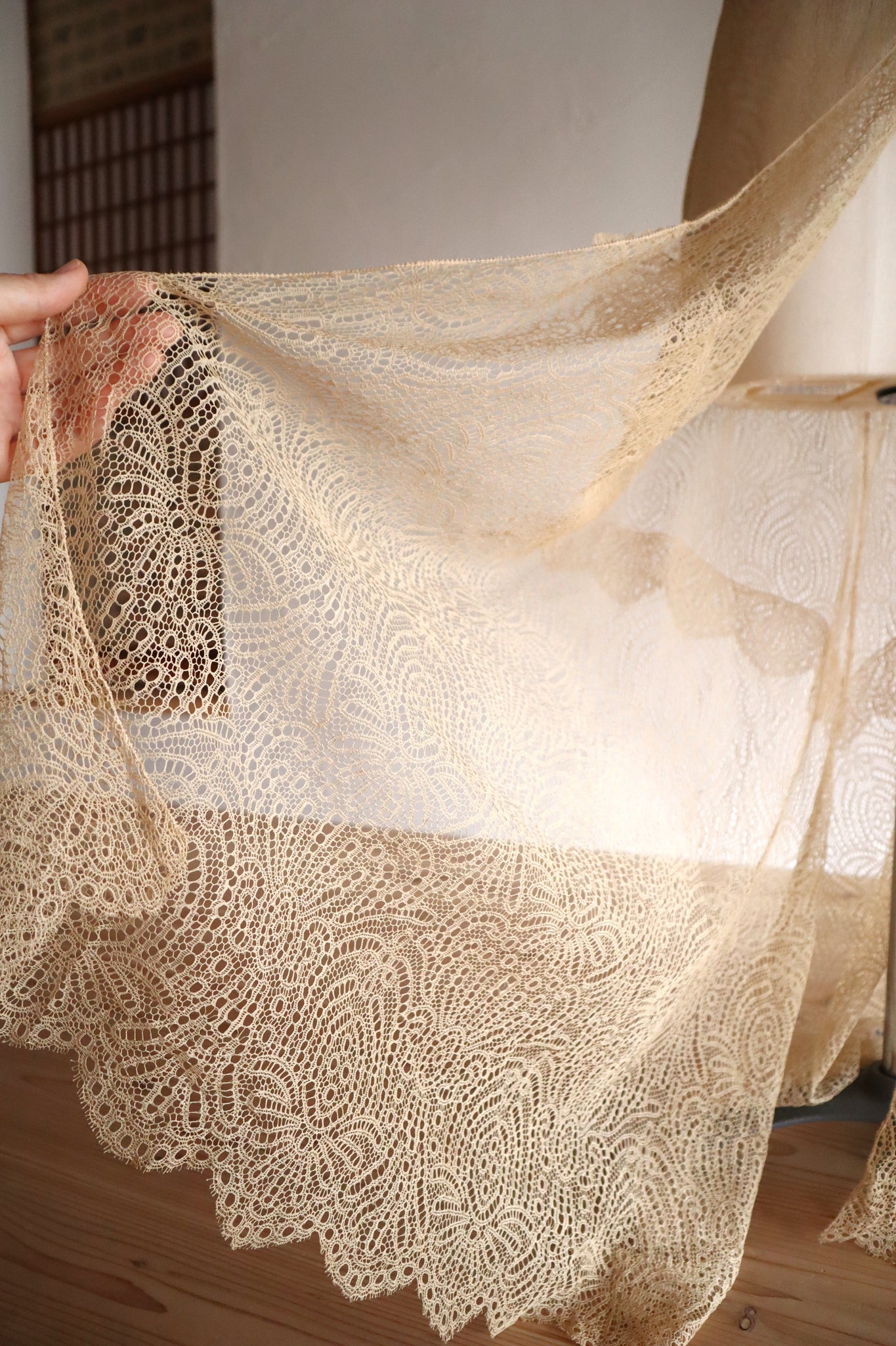 1910s–1920s French Lace Overlay Dress