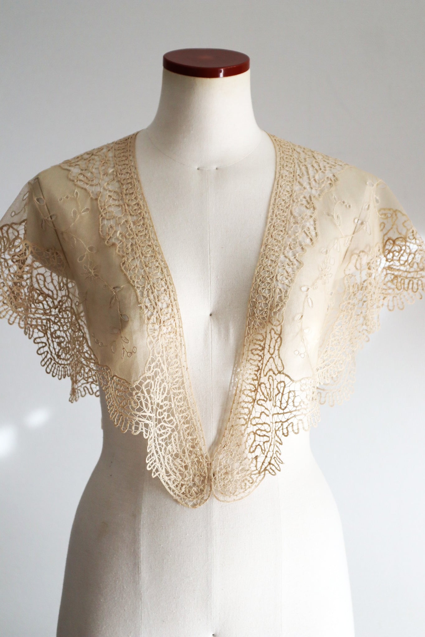 19th Century Limerick Lace Berthe Collar