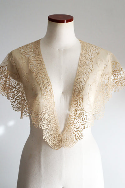 19th Century Limerick Lace Berthe Collar