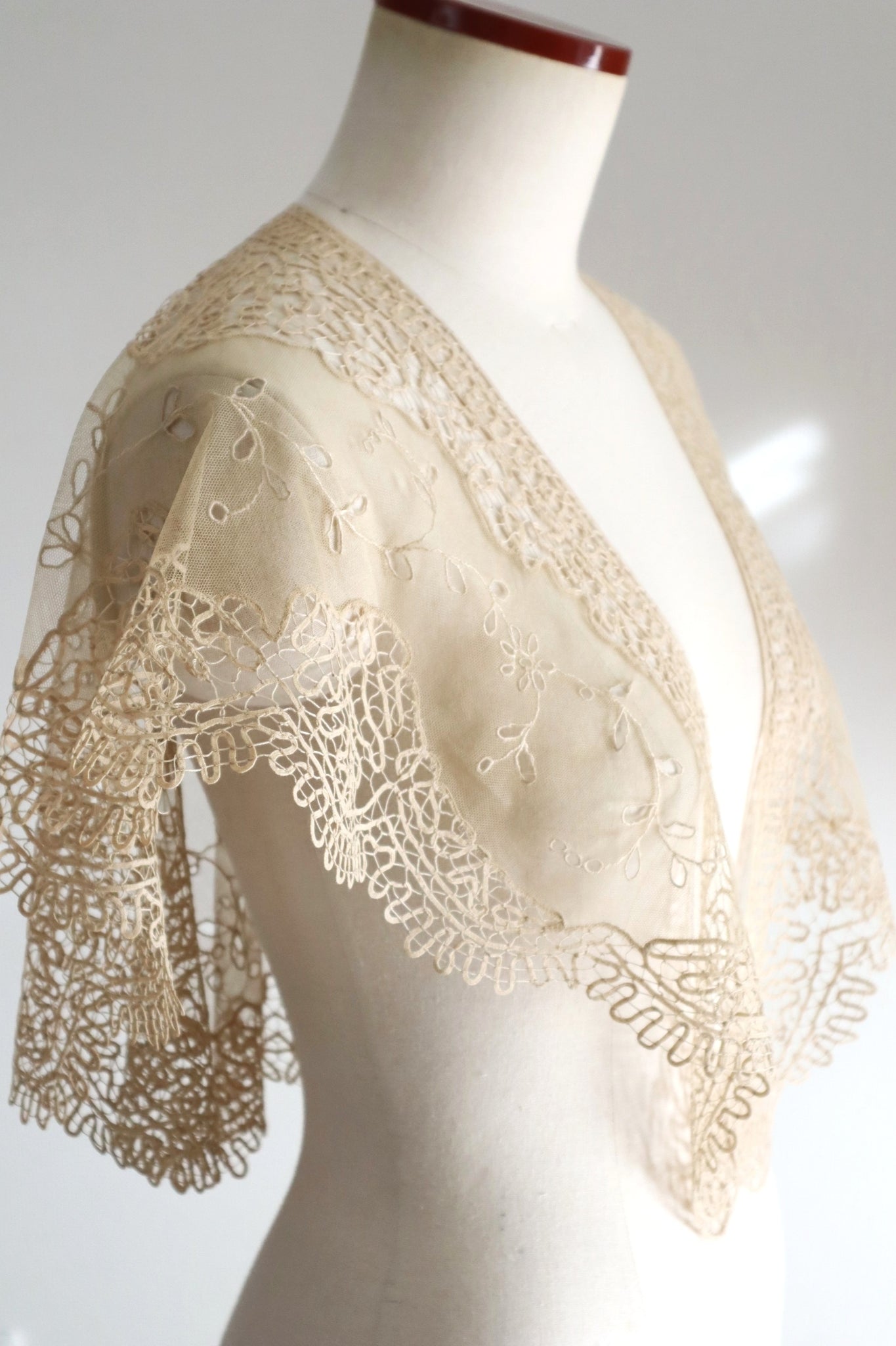 19th Century Limerick Lace Berthe Collar