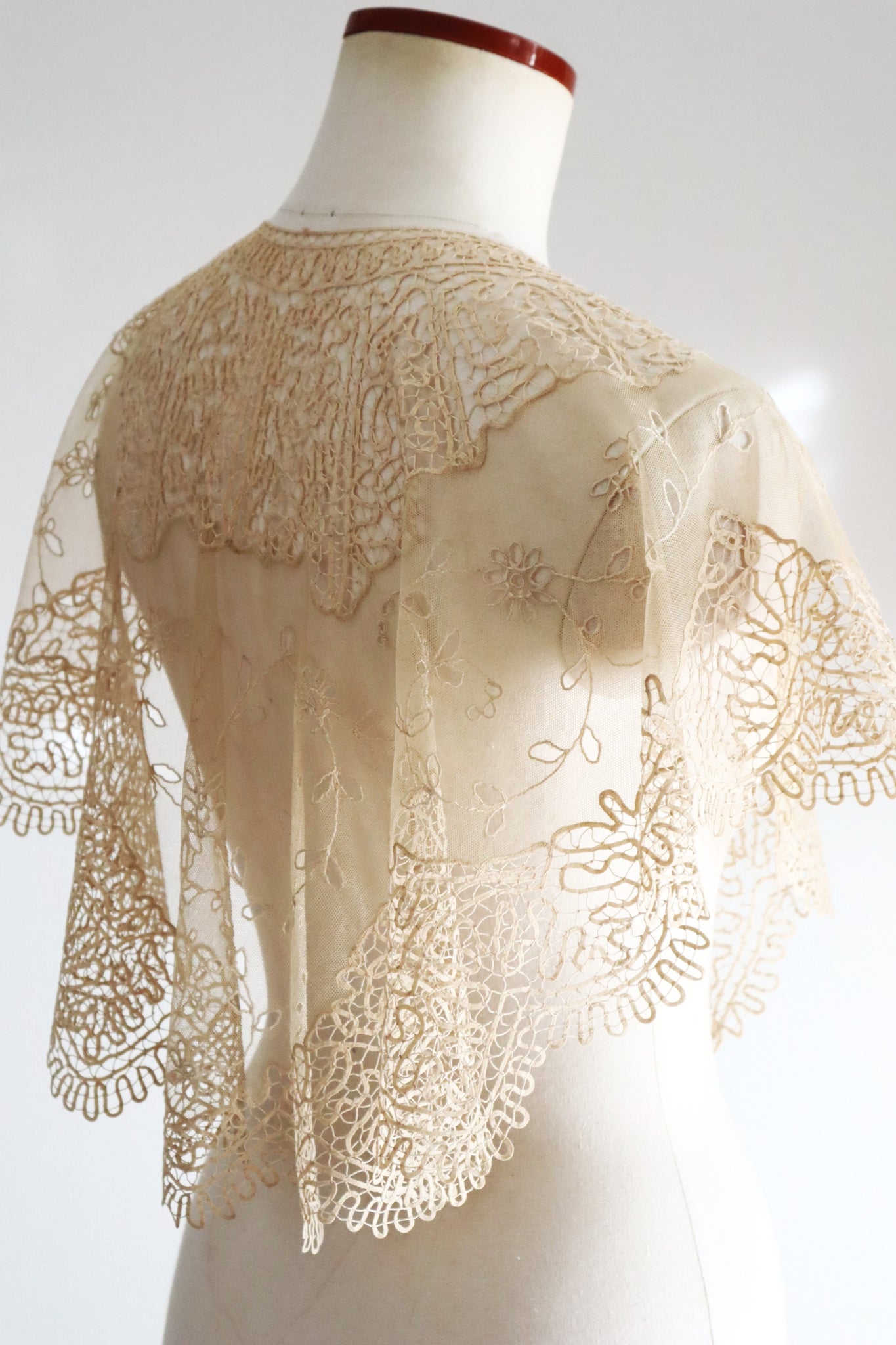 19th Century Limerick Lace Berthe Collar