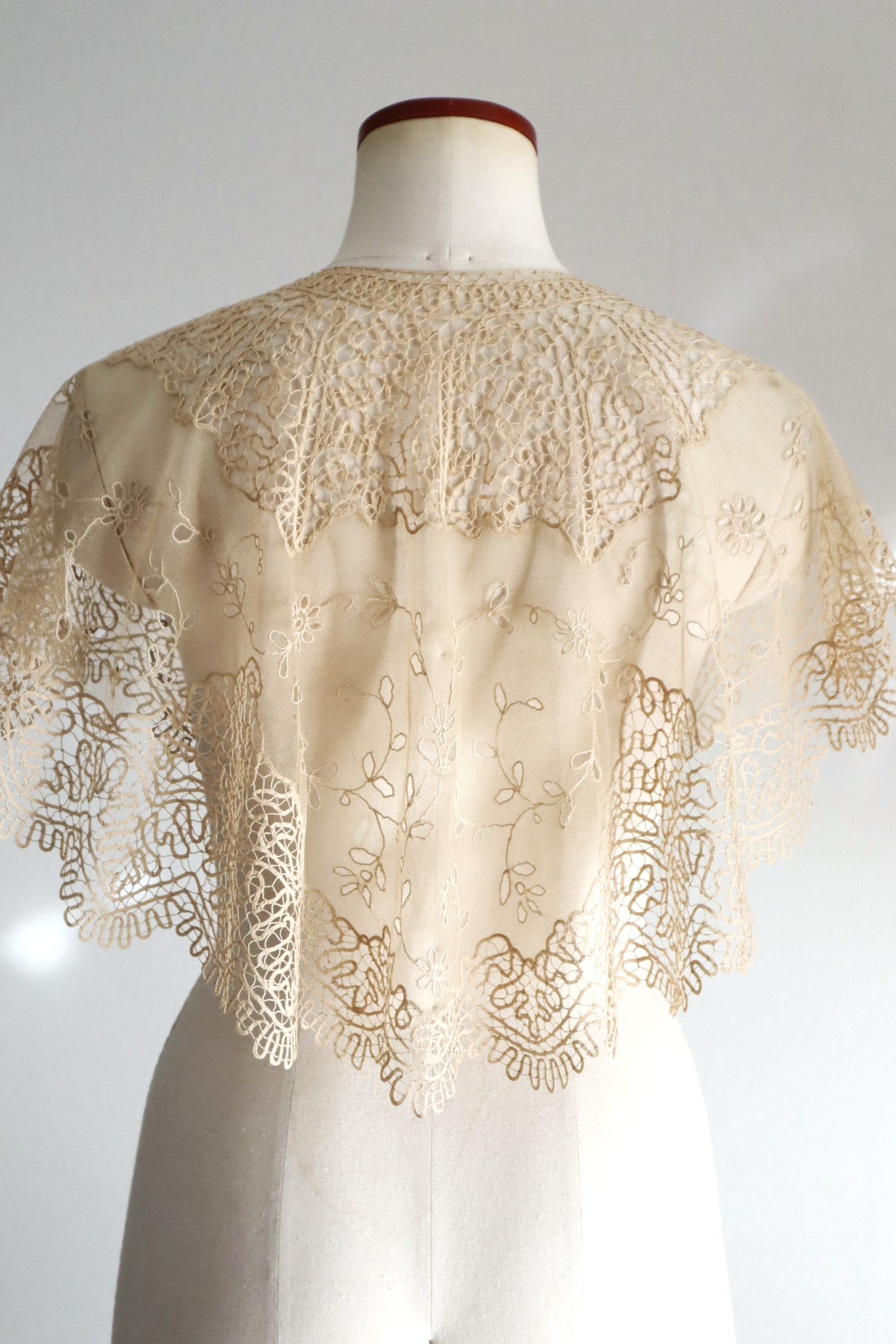 19th Century Limerick Lace Berthe Collar