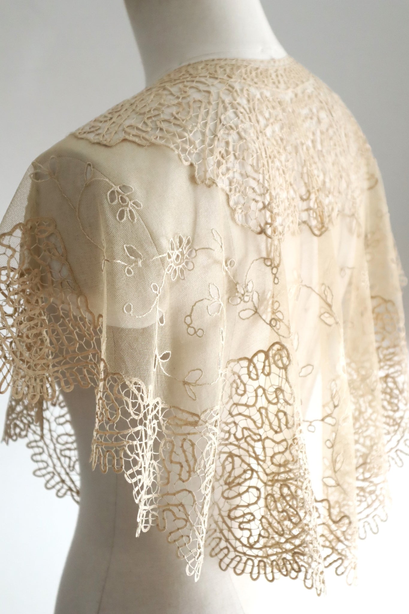 19th Century Limerick Lace Berthe Collar