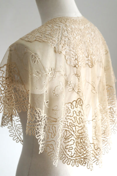 19th Century Limerick Lace Berthe Collar