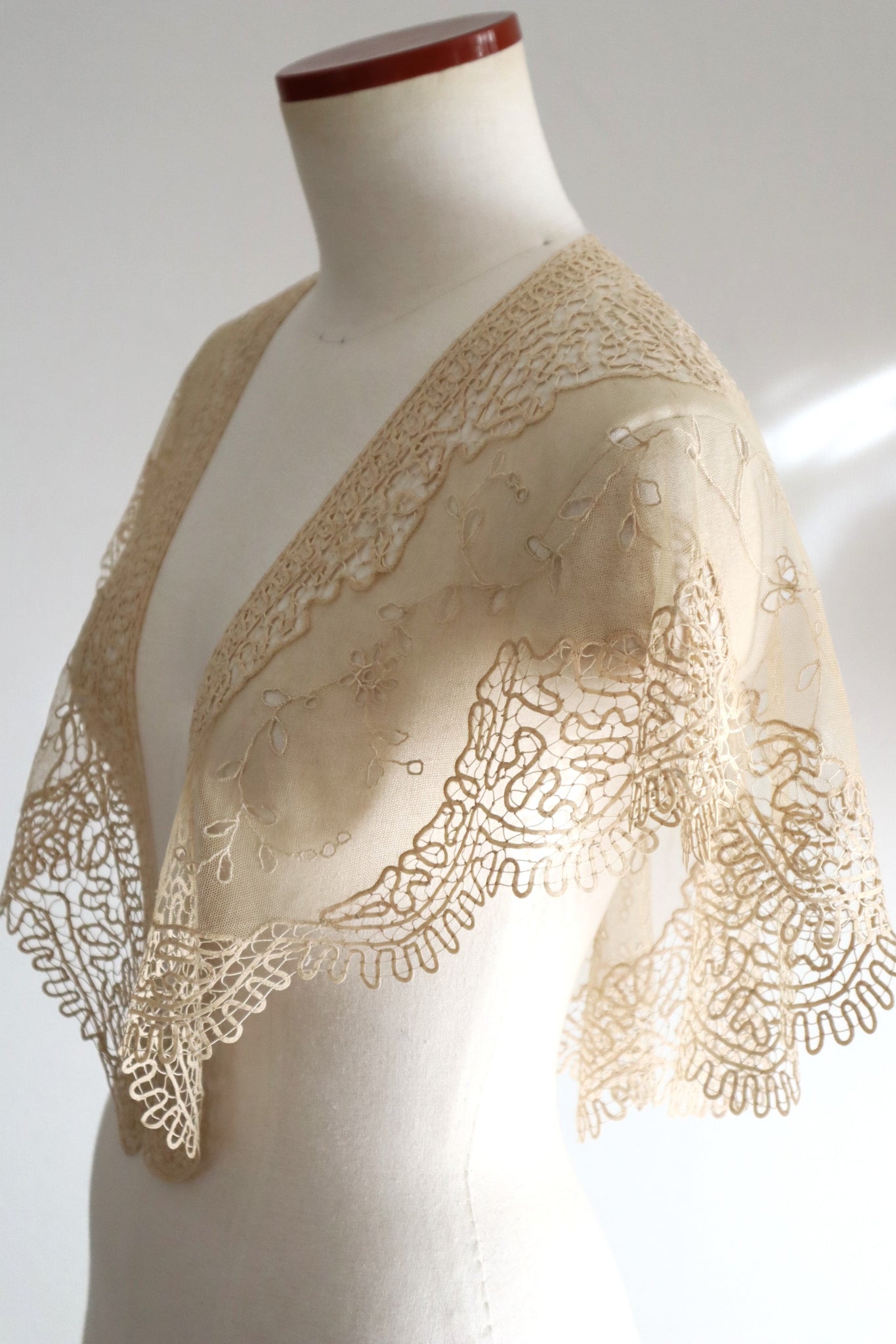 19th Century Limerick Lace Berthe Collar