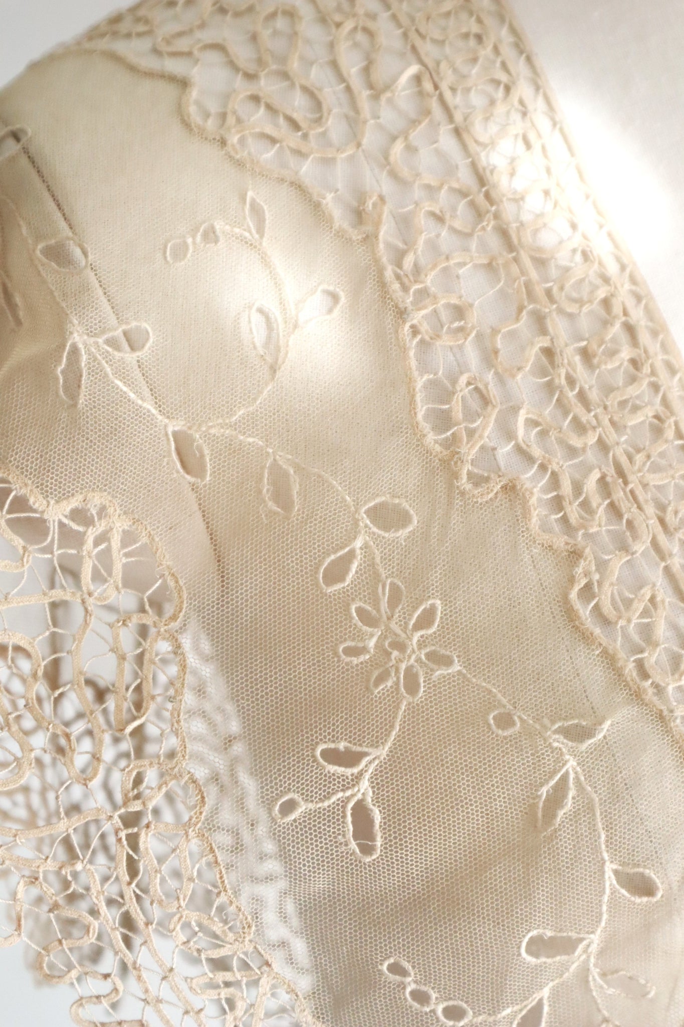 19th Century Limerick Lace Berthe Collar