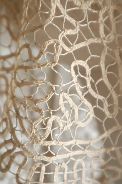 19th Century Limerick Lace Berthe Collar