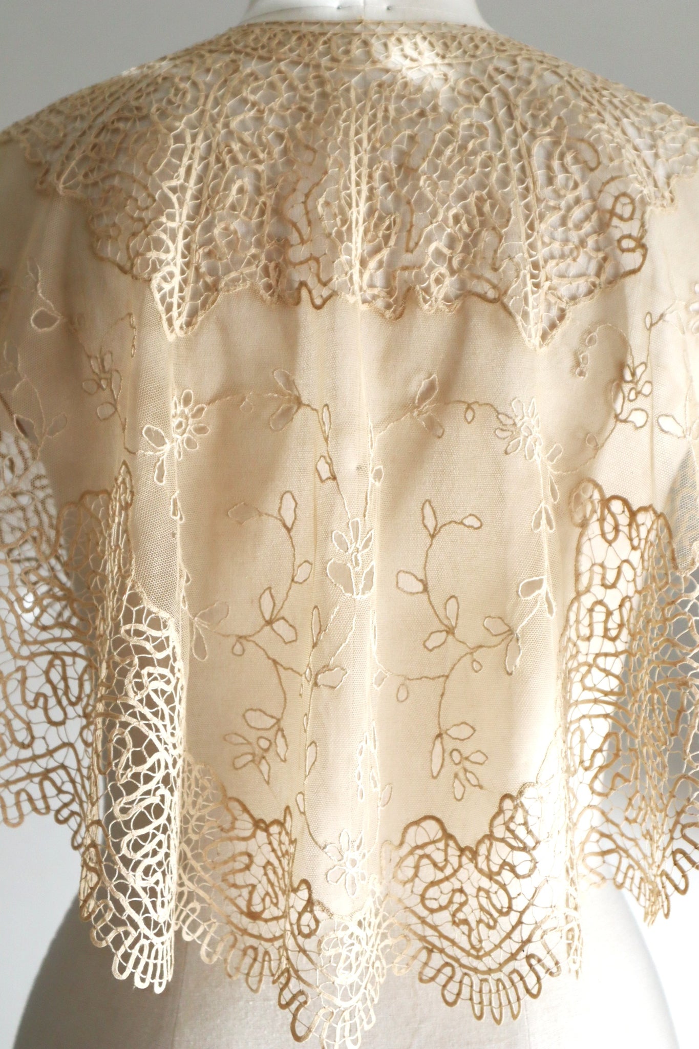 19th Century Limerick Lace Berthe Collar