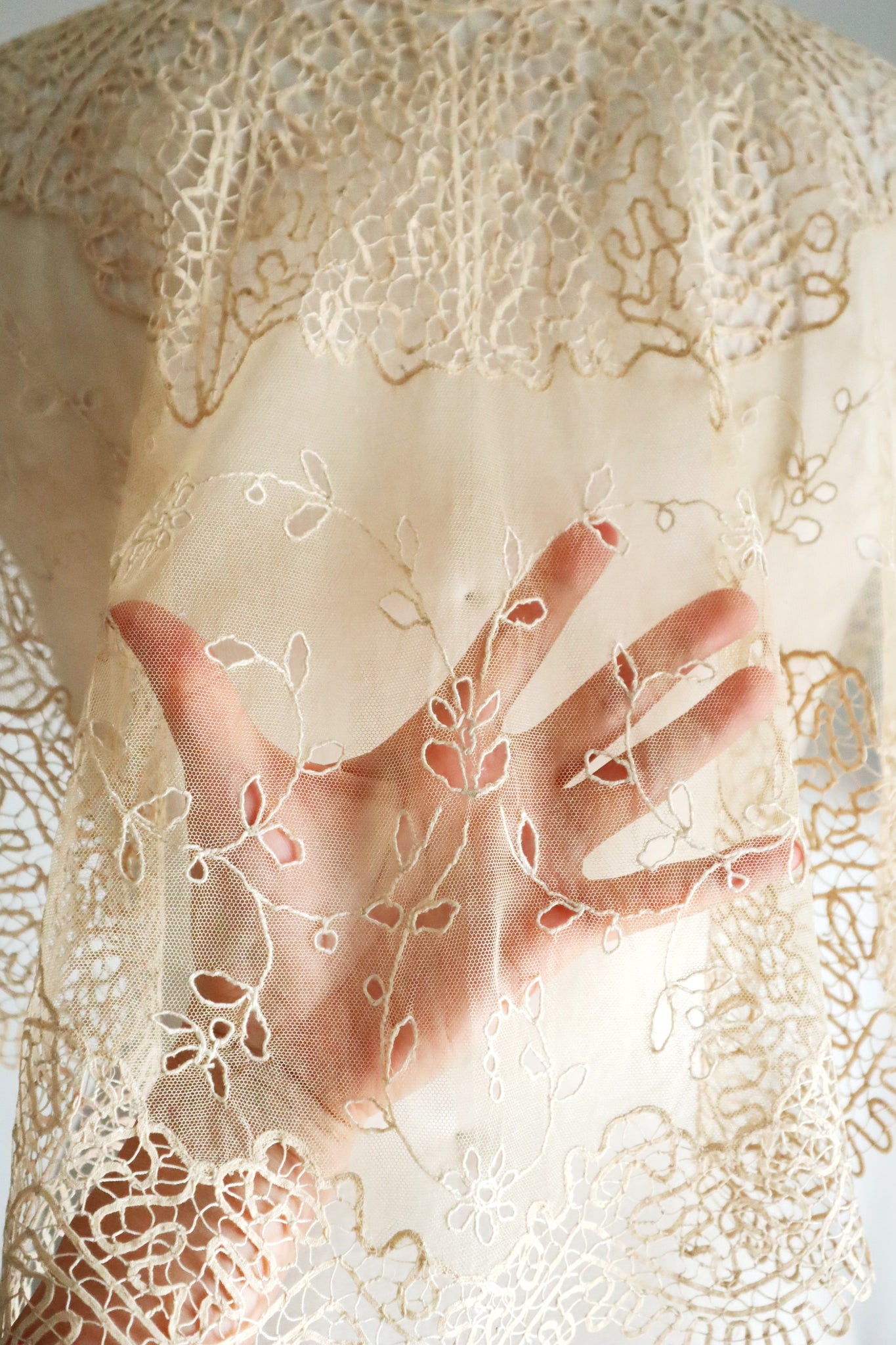 19th Century Limerick Lace Berthe Collar