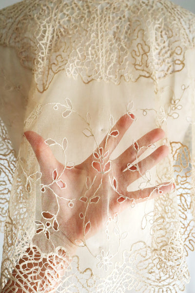 19th Century Limerick Lace Berthe Collar