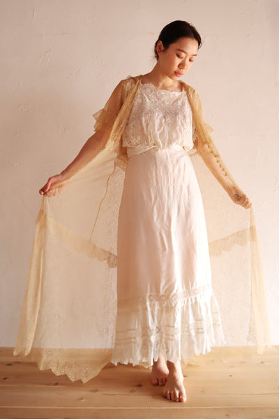 1910s–1920s French Lace Overlay Dress
