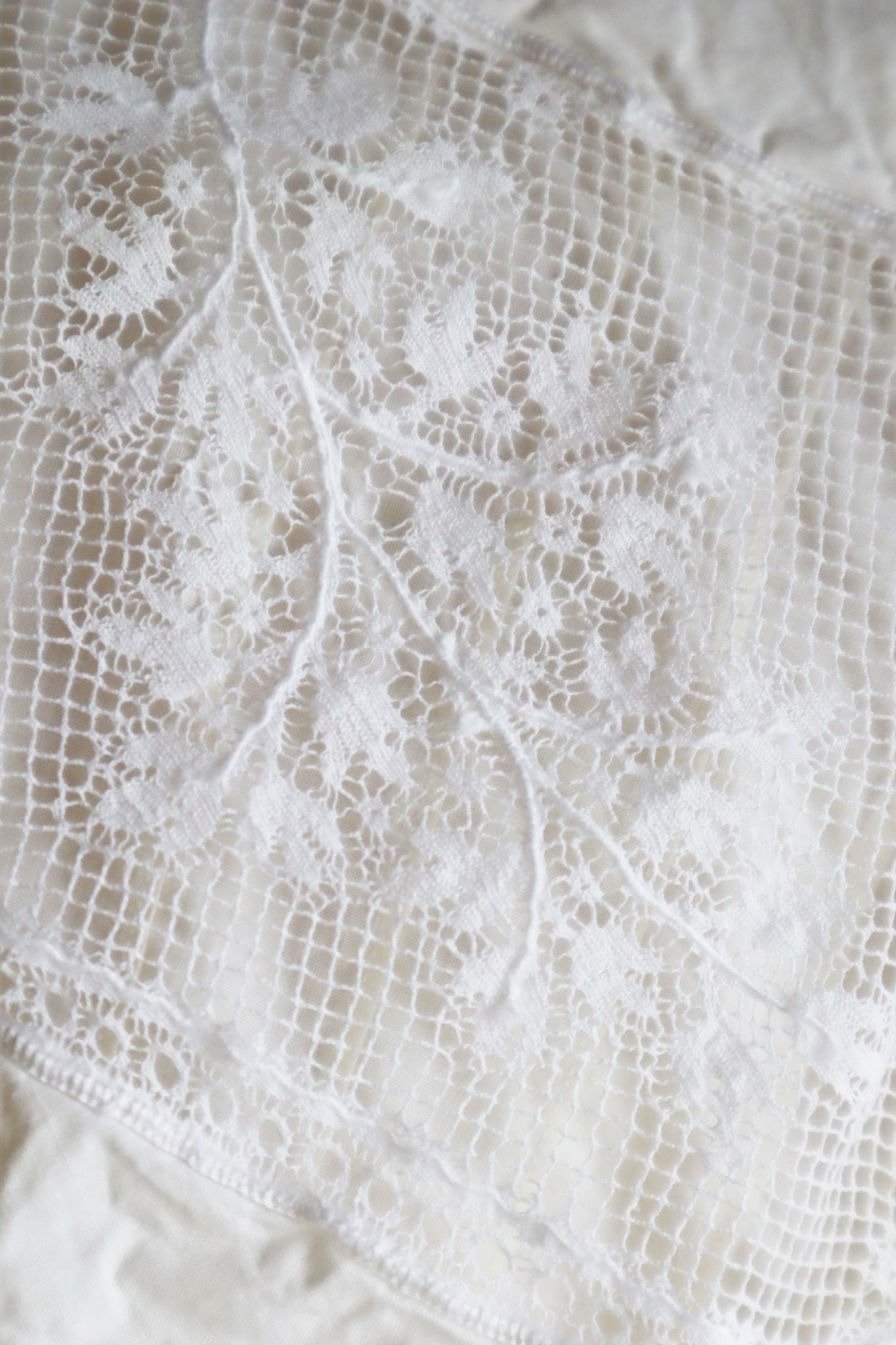 1900s Valancienne Lace Large Collar Cotton Dress