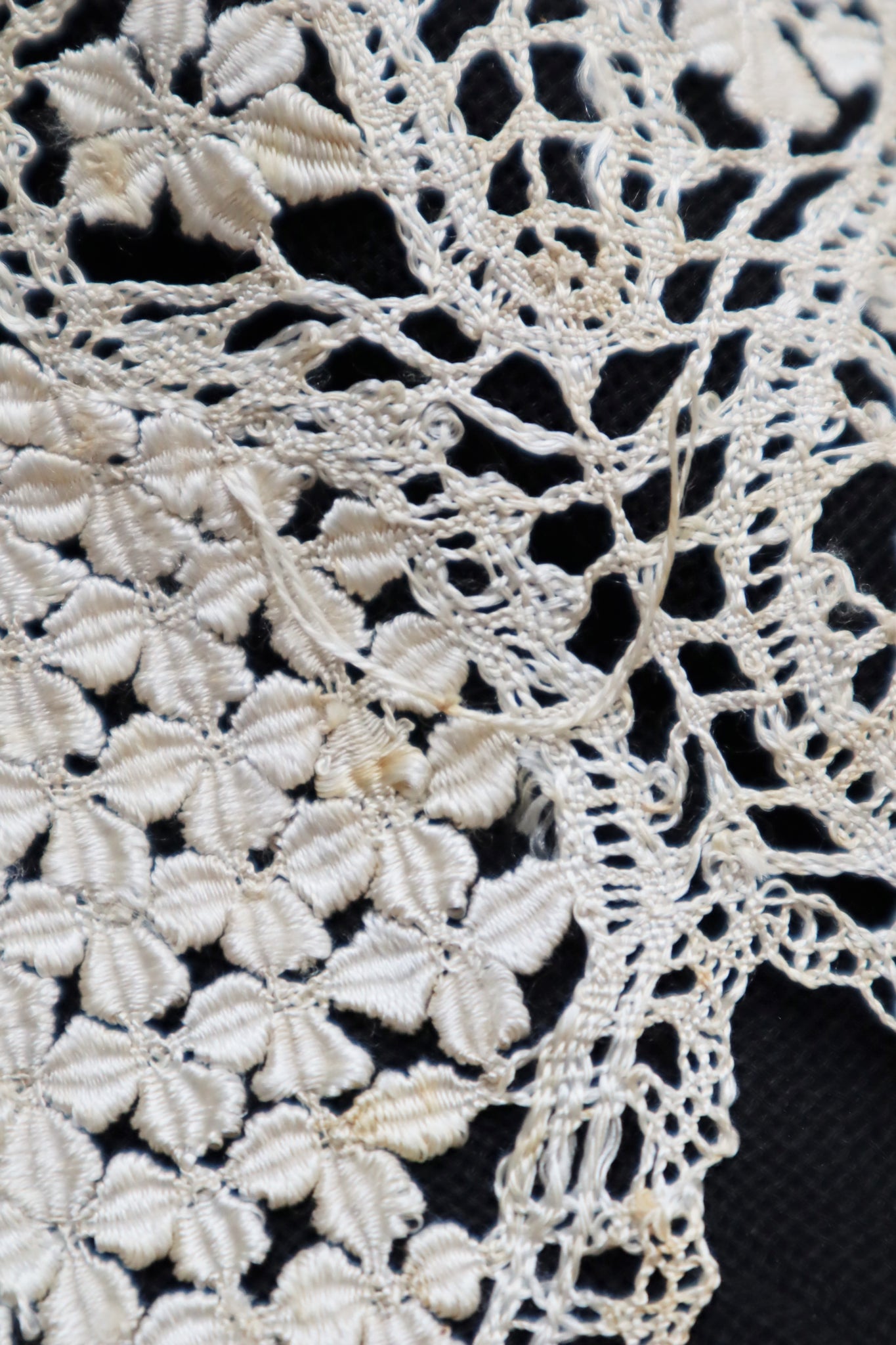 1900s Silk Maltese Lace