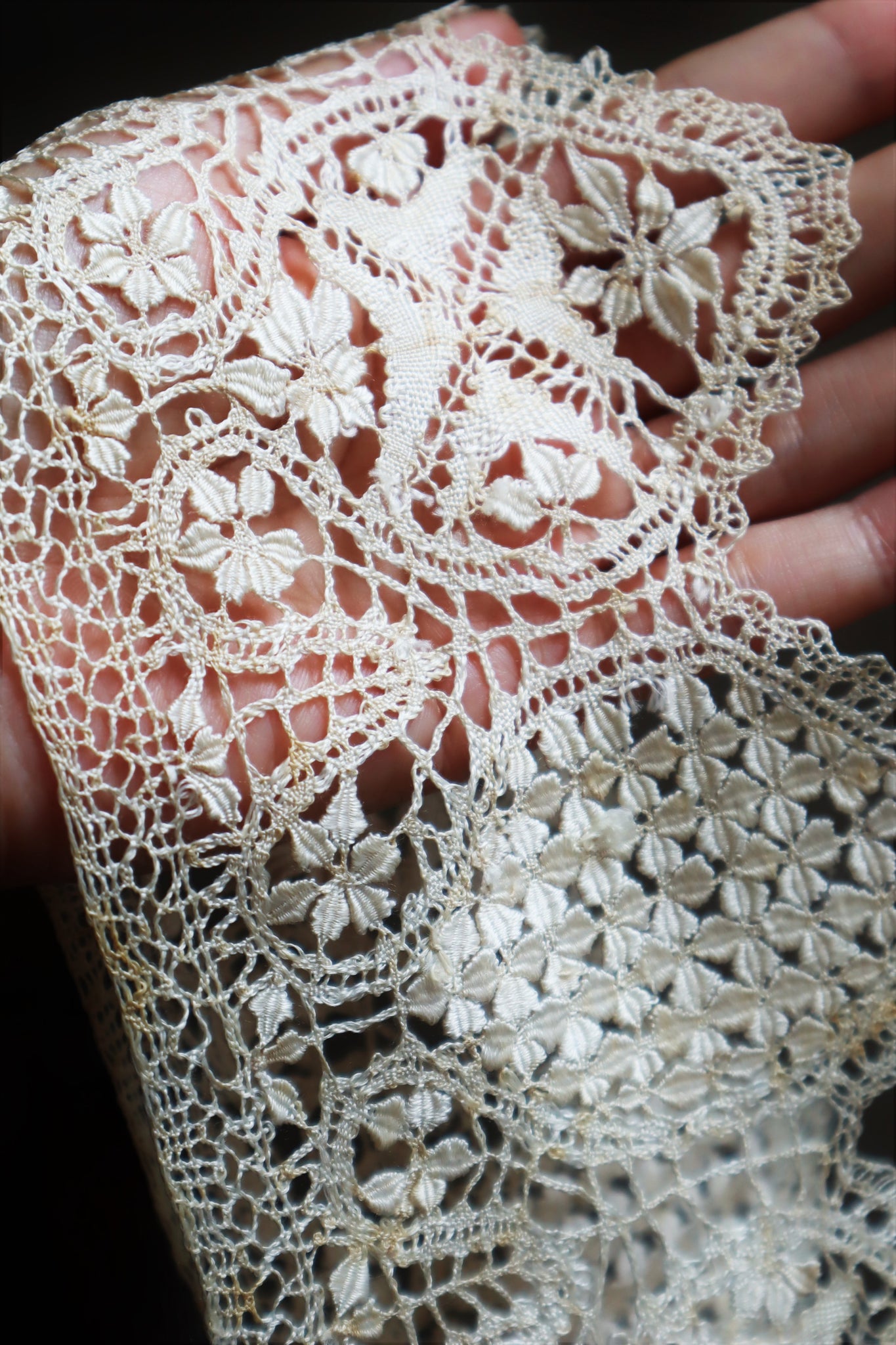 1900s Silk Maltese Lace