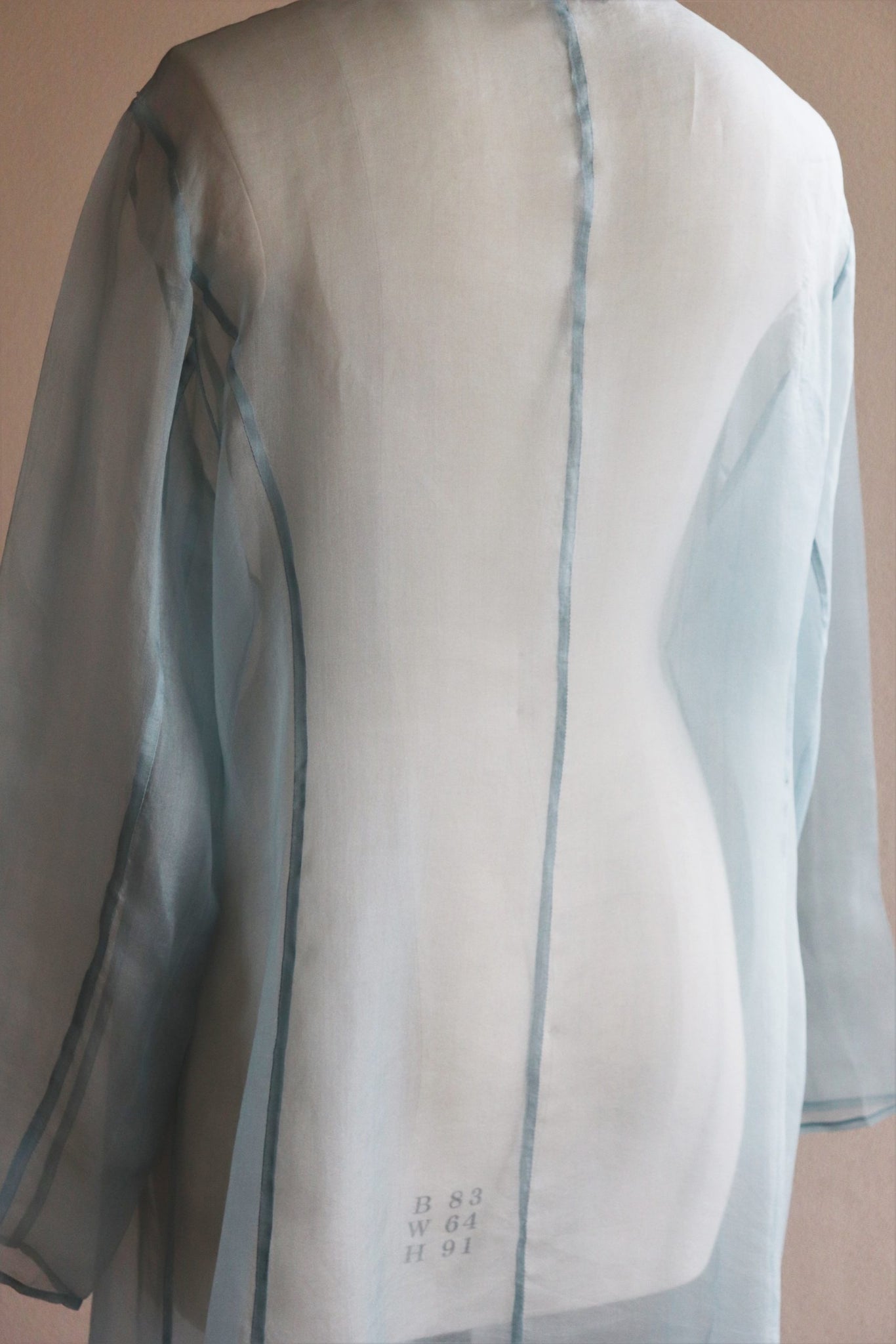 Vintage Organdy Sheer Blouse